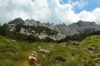 2014-08-02_06FritzPflaum-Steig (222).JPG